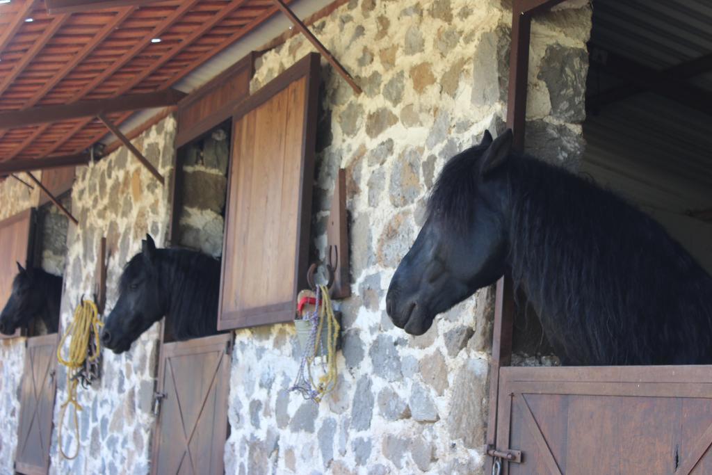 ホテルRancho San Antonio ウアスカ・デ・オカンポ エクステリア 写真